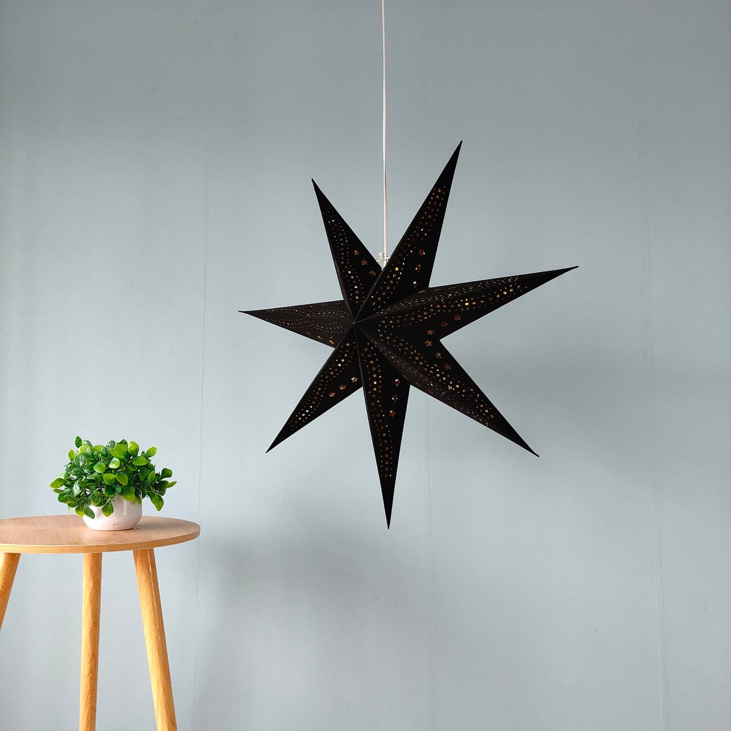 Flocked 7-Point Star Lantern – Black with Gold Interior, 17 Inch & 29 Inch
