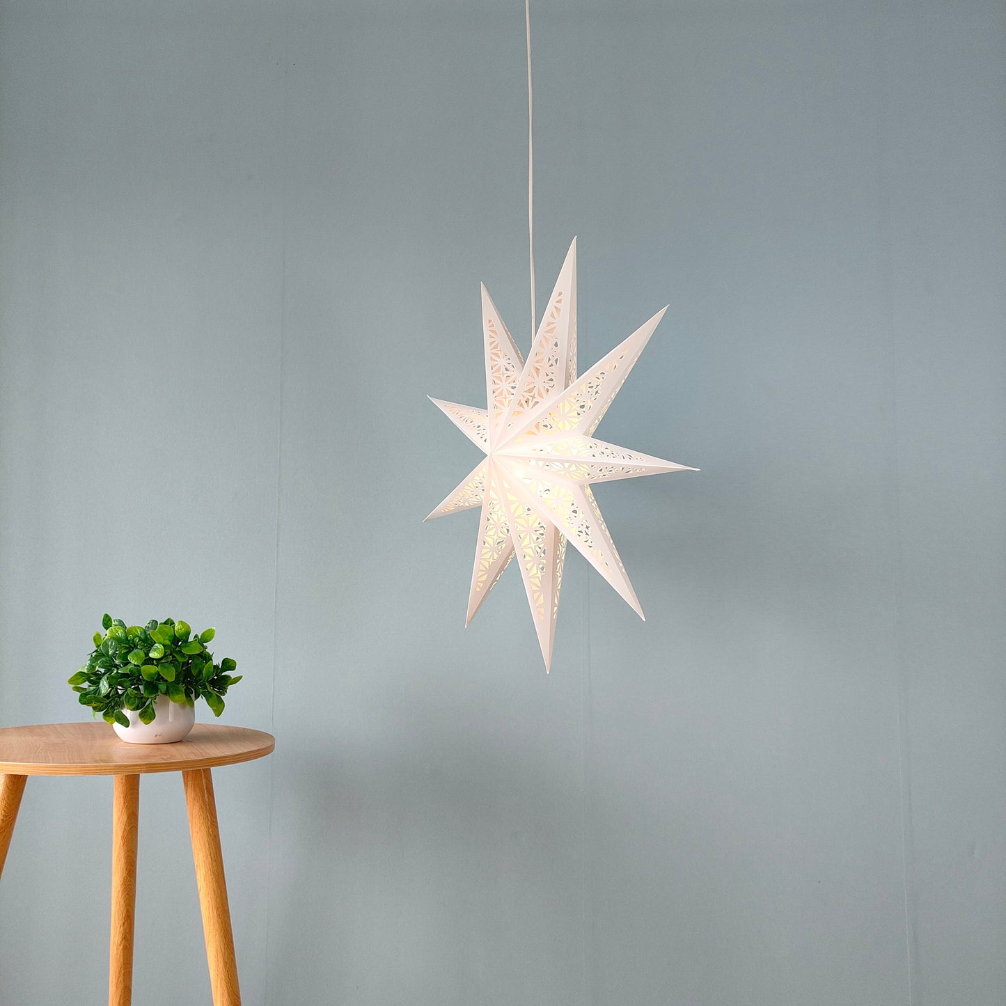 24inch Hanging Star Lights White