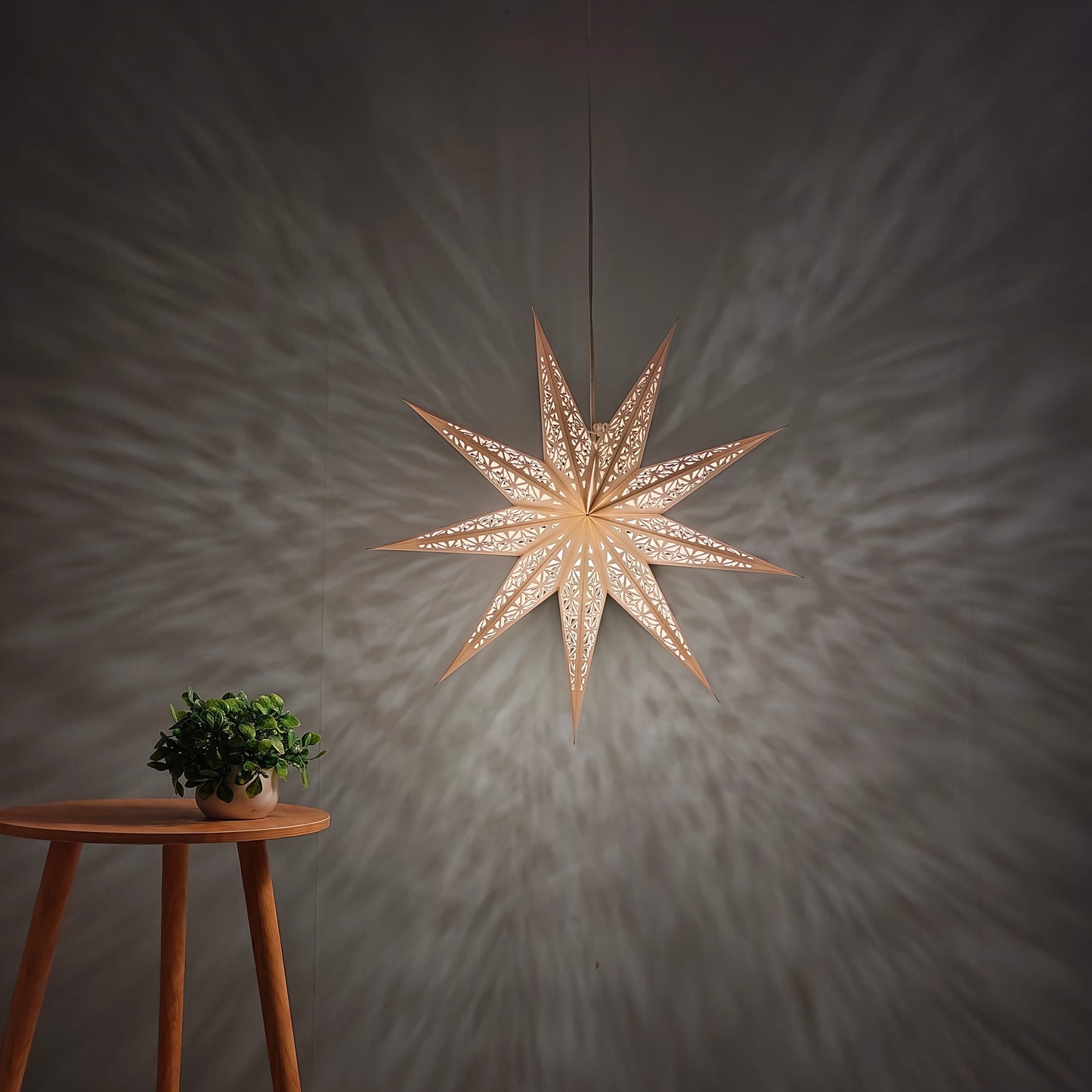 24inch Hanging Star Lights White