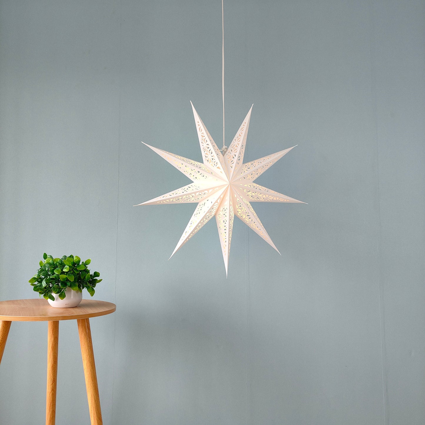 24inch Hanging Star Lights White