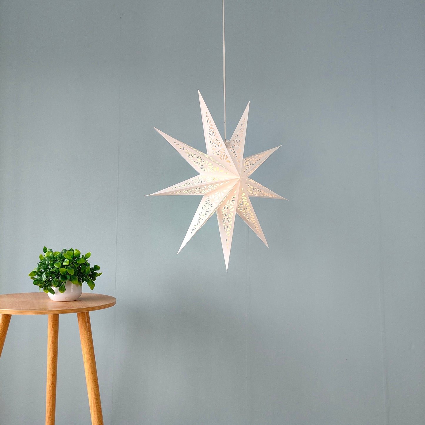 24inch Hanging Star Lights White